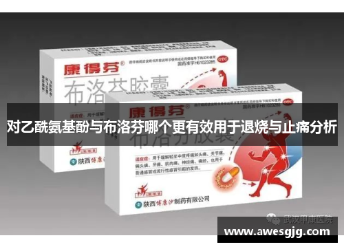 对乙酰氨基酚与布洛芬哪个更有效用于退烧与止痛分析