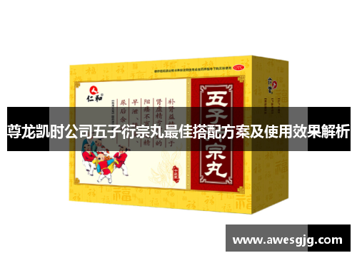 尊龙凯时公司五子衍宗丸最佳搭配方案及使用效果解析