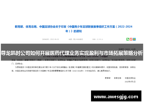尊龙凯时公司如何开展医药代理业务实现盈利与市场拓展策略分析