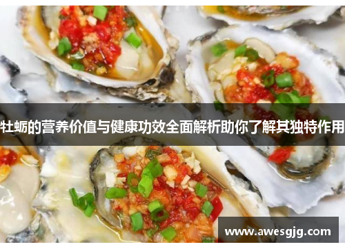 牡蛎的营养价值与健康功效全面解析助你了解其独特作用