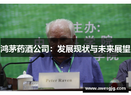 鸿茅药酒公司：发展现状与未来展望