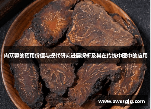 肉苁蓉的药用价值与现代研究进展探析及其在传统中医中的应用